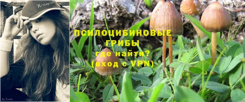 Псилоцибиновые грибы Magic Shrooms  где найти   ОМГ ОМГ рабочий сайт  Ярцево 